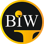 BIW Agency - Best Imaging-Web logo