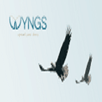 Wyngs logo