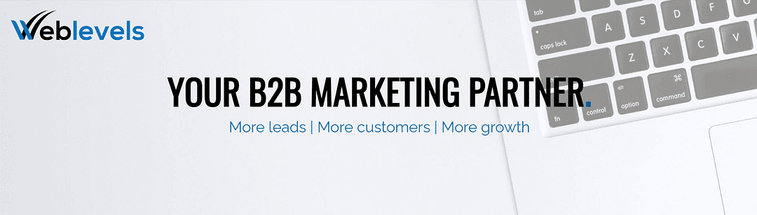 Weblevels | B2B Digital Marketing cover