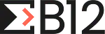 B12 Consulting logo