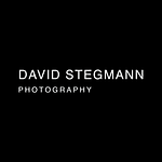 David Stegmann logo