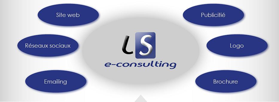 LS e-consulting cover