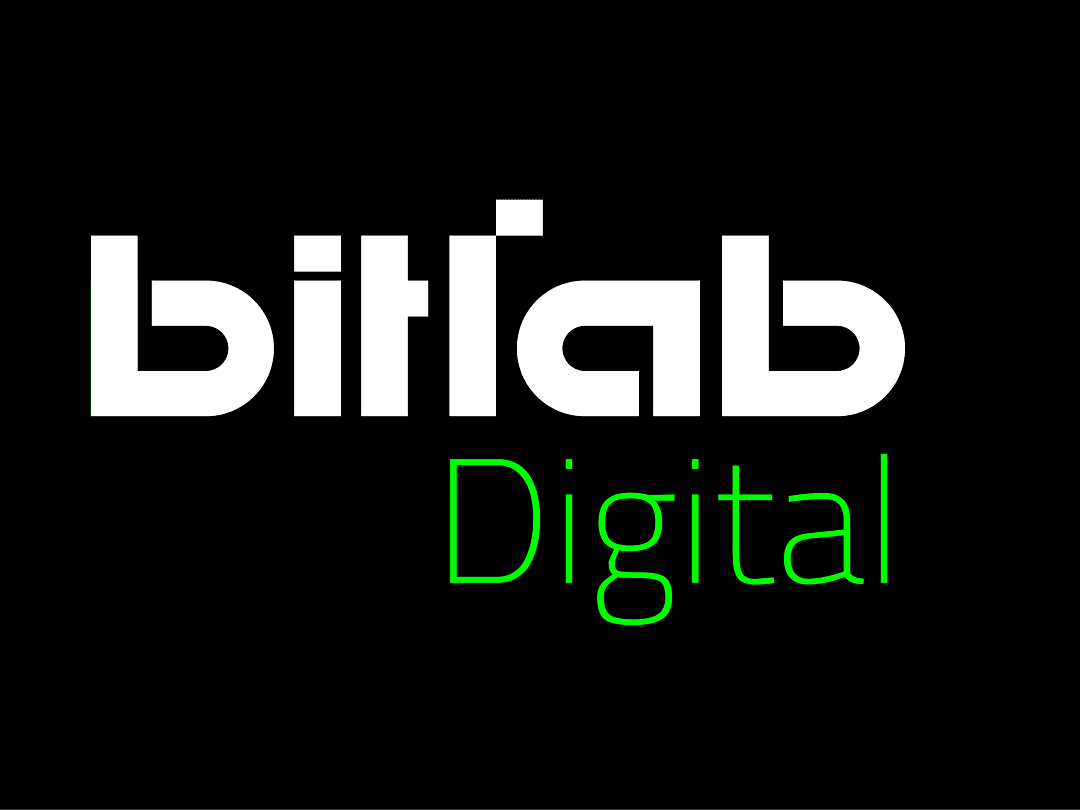 BitLab BVBA cover