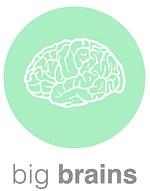 Big Brains logo
