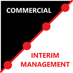 Commercial Interim Management