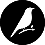 Blackbirds Design
