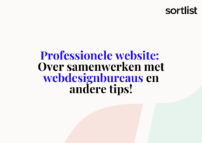 Professionele website